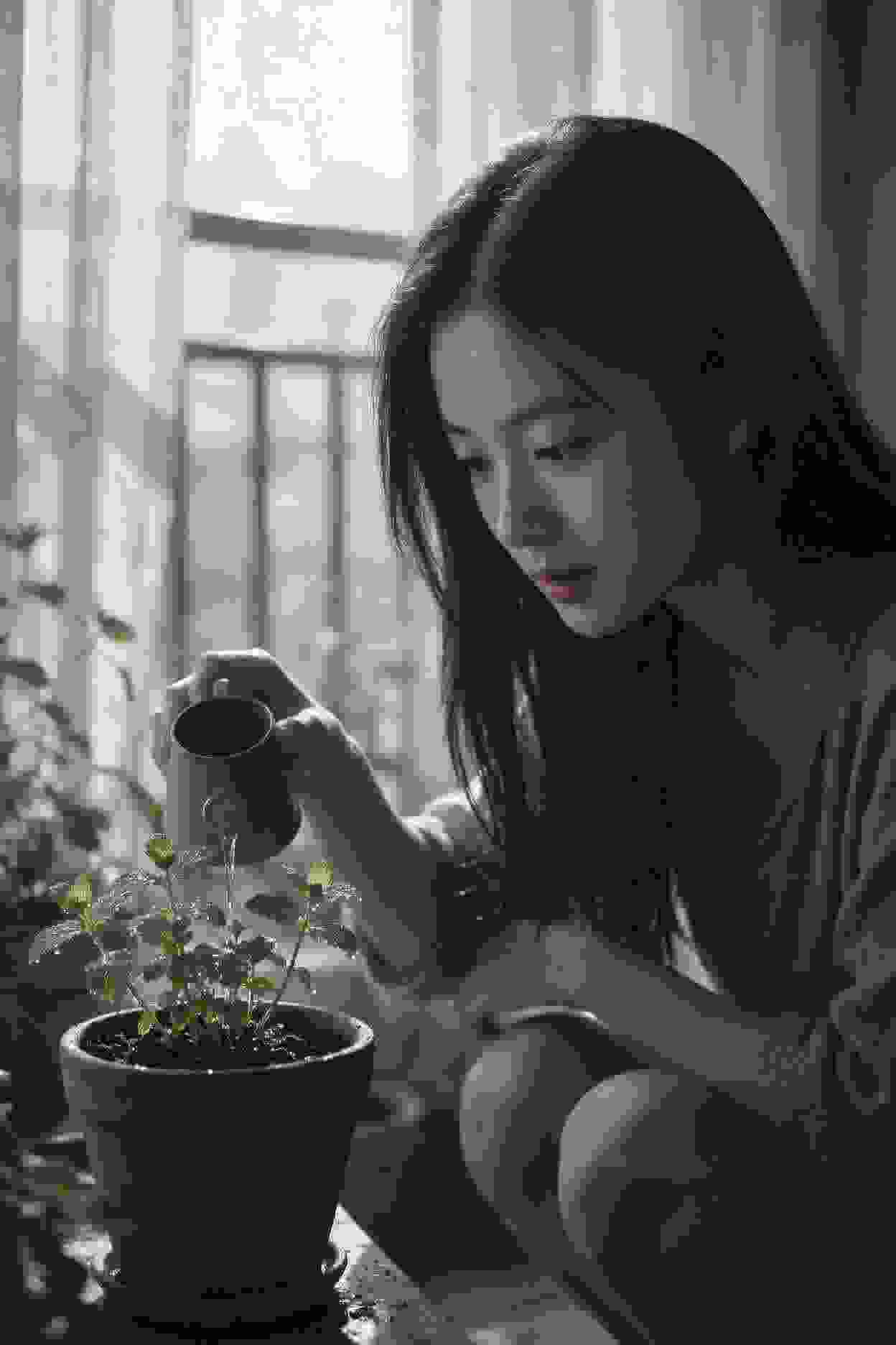 皇帝的家务事